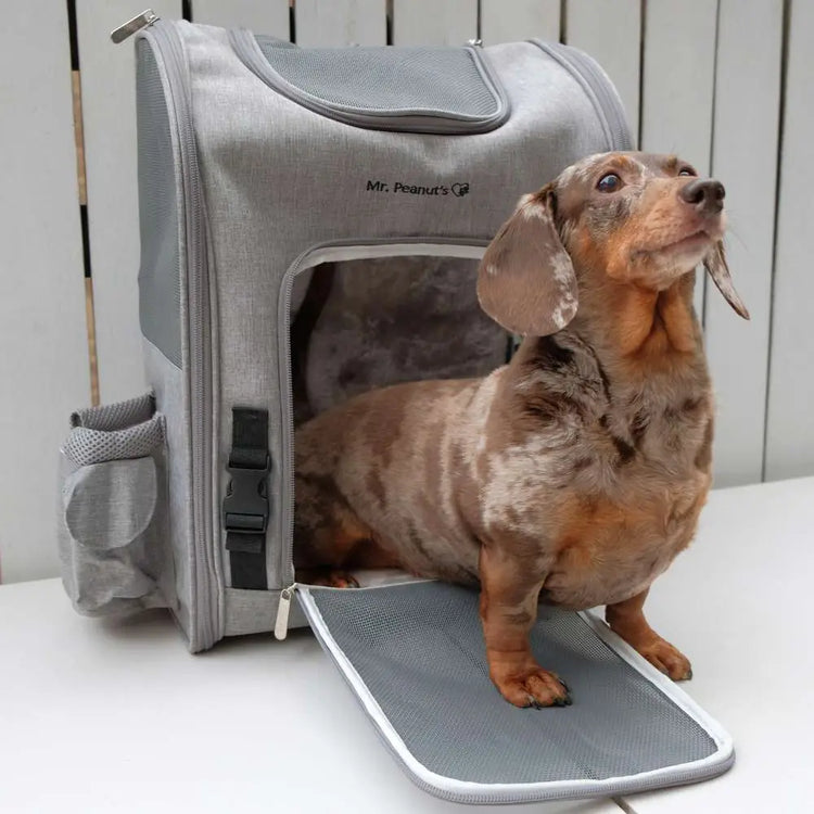 Pet Carriers and Travel Accessories