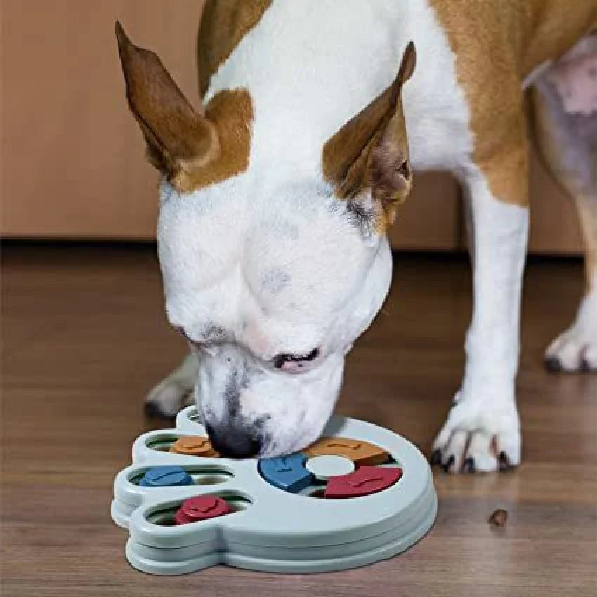 Pet Training Supplies