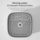 3L Automatic Cat Water Fountain with Filter – USB Quiet Electric Dispenser - cat water fountain