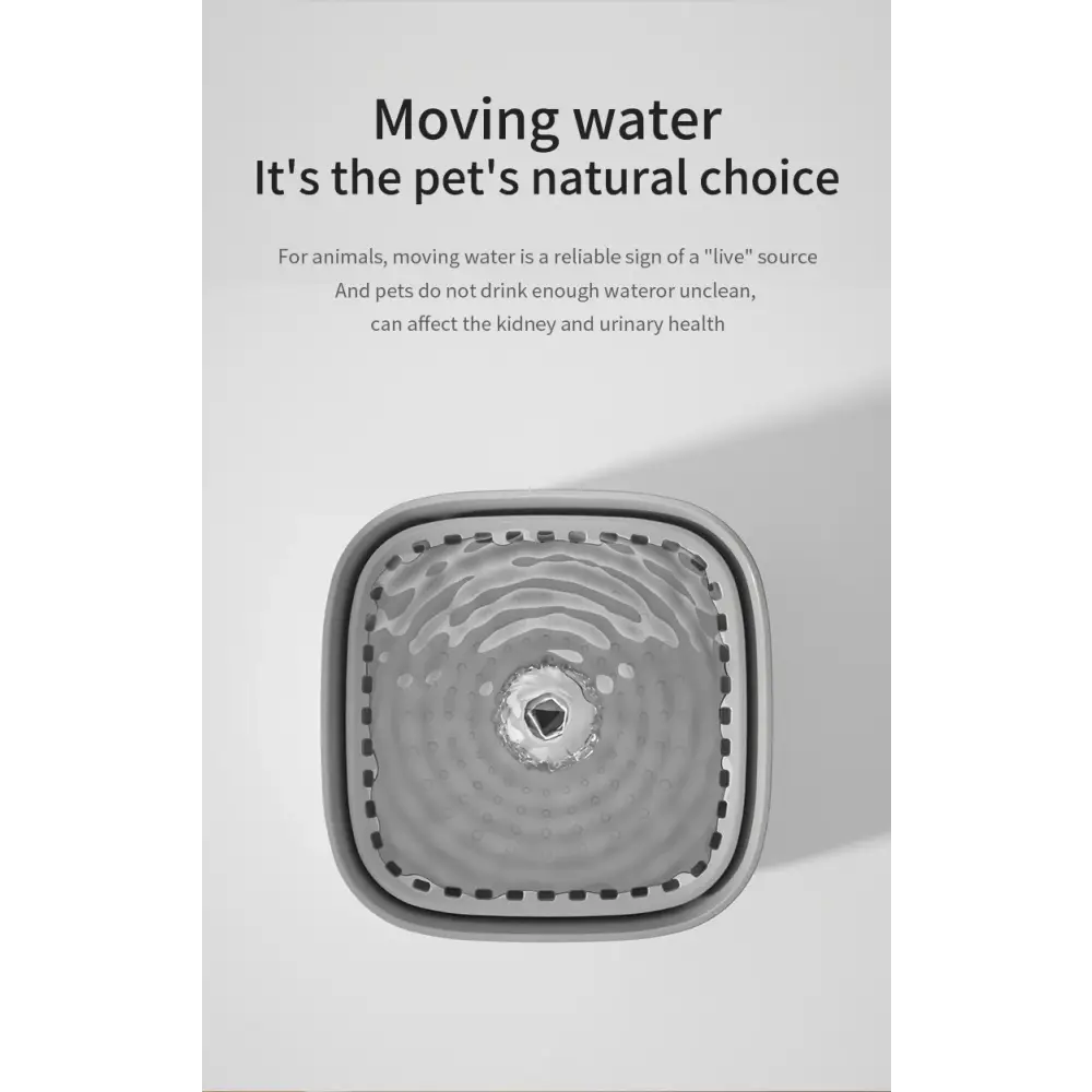 3L Automatic Cat Water Fountain with Filter – USB Quiet Electric Dispenser - cat water fountain
