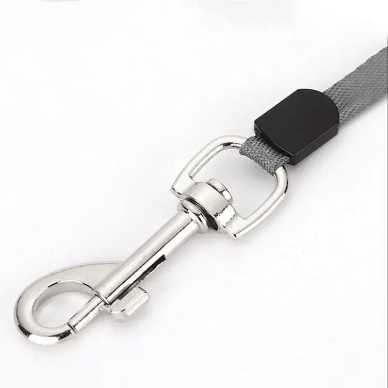 3m 5m Nylon Dog Leash Automatic Retractable Durable Cat Lead Extending Puppy Walking Running Traction Roulette