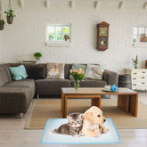 40 Pcs Pet Pee Pad Extra Large Professional Dog Pee Pad Urinal Pad Disposable Pet Cushion Training Mat Litter Solution