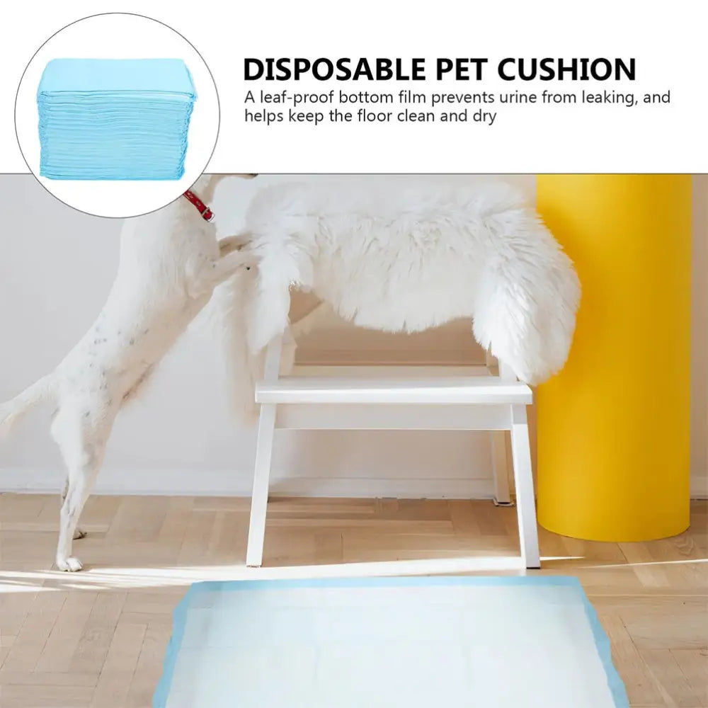 40 Pcs Pet Pee Pad Extra Large Professional Dog Pee Pad Urinal Pad Disposable Pet Cushion Training Mat Litter Solution