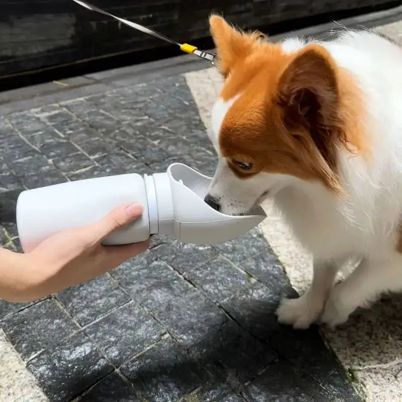 550ml Foldable Pet Water Bottle – Leakproof Travel Dispenser - Light Grey - pet water bowl
