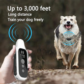 800m Waterproof Dog Training Collar with Remote & LCD - Dog training collar