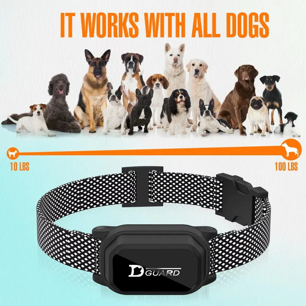 800m Waterproof Dog Training Collar with Remote & LCD - Dog training collar