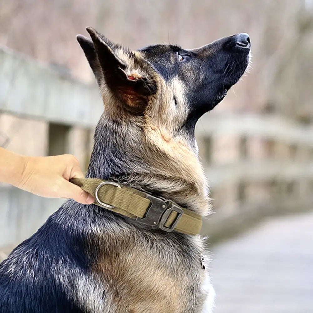 Durable Tactical Dog Collar and Leash Adjustable Military Pet Collar Leash Medium Large Dog German Shepherd Training