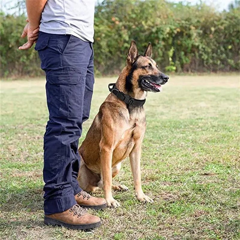 Durable Tactical Dog Collar and Leash Adjustable Military Pet Collar Leash Medium Large Dog German Shepherd Training