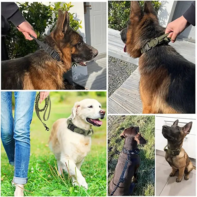 Durable Tactical Dog Collar and Leash Adjustable Military Pet Collar Leash Medium Large Dog German Shepherd Training
