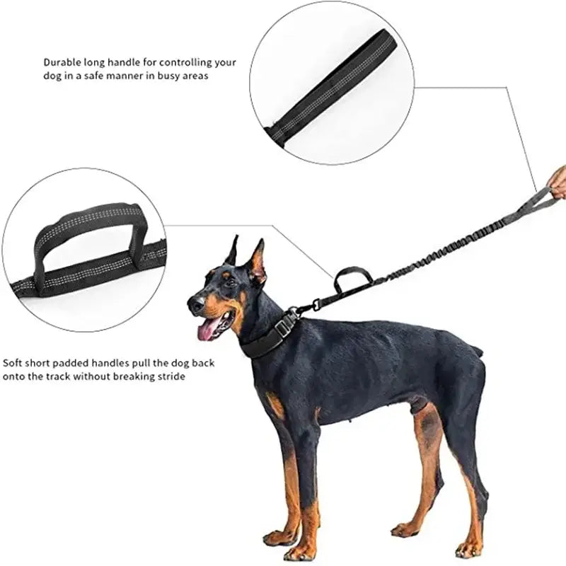 Durable Tactical Dog Collar and Leash Adjustable Military Pet Collar Leash Medium Large Dog German Shepherd Training