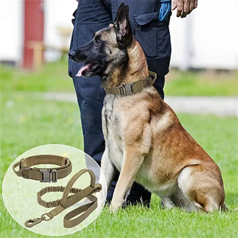 Durable Tactical Dog Collar and Leash Adjustable Military Pet Collar Leash Medium Large Dog German Shepherd Training