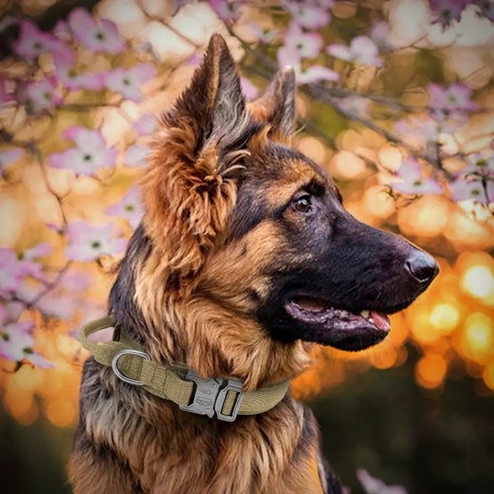 Durable Tactical Dog Collar and Leash Adjustable Military Pet Collar Leash Medium Large Dog German Shepherd Training