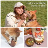 Acorn Shape Educational Slow Eating Toys for Pet
