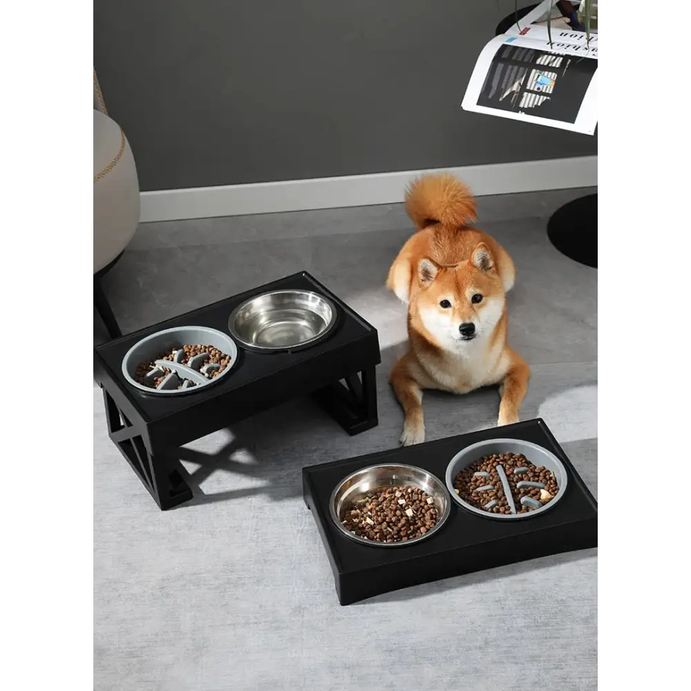 Adjustable Elevated Dog Bowl Stand with Slow Feeder & Mat - pet bowls