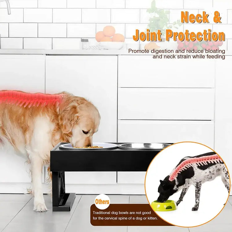 Adjustable Elevated Dog Bowl Stand with Slow Feeder & Mat - pet bowls