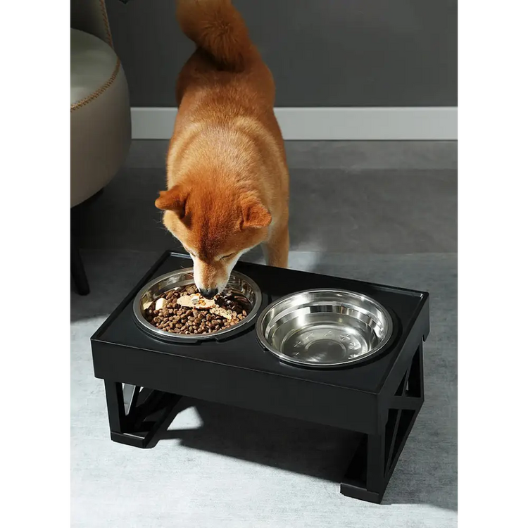 Adjustable Elevated Dog Bowl Stand with Slow Feeder & Mat - pet bowls