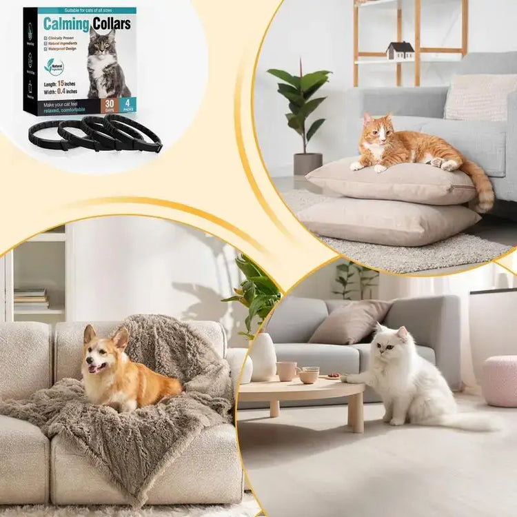Adjustable Pet Calming Collar - pet collar