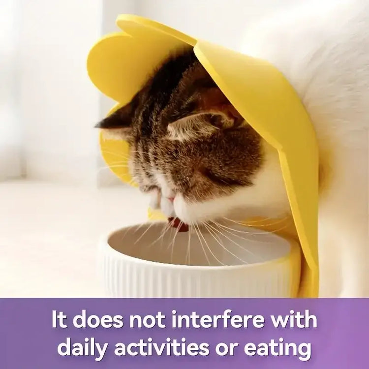 Adjustable Pet Recovery Cone Collar - cat e-collar