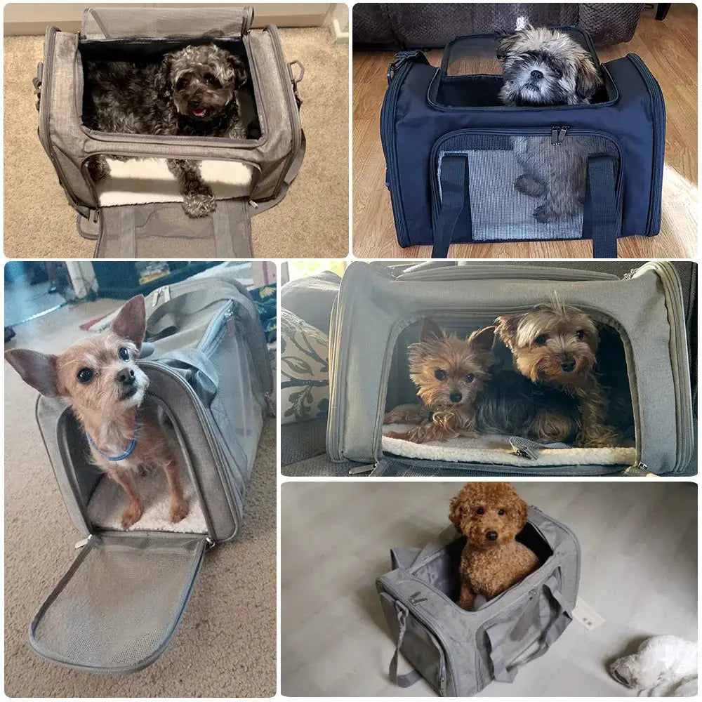 Airline-Approved Soft Pet Carrier Backpack - pet carrier