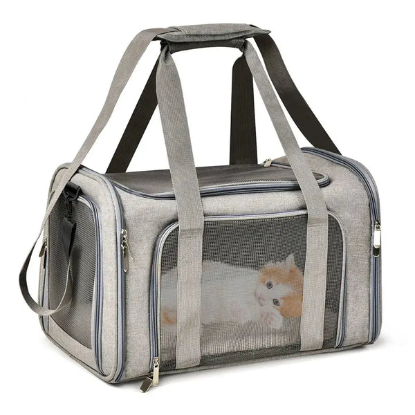 Airline-Approved Soft Pet Carrier Backpack - L (50x34x34cm) / Gray - pet carrier