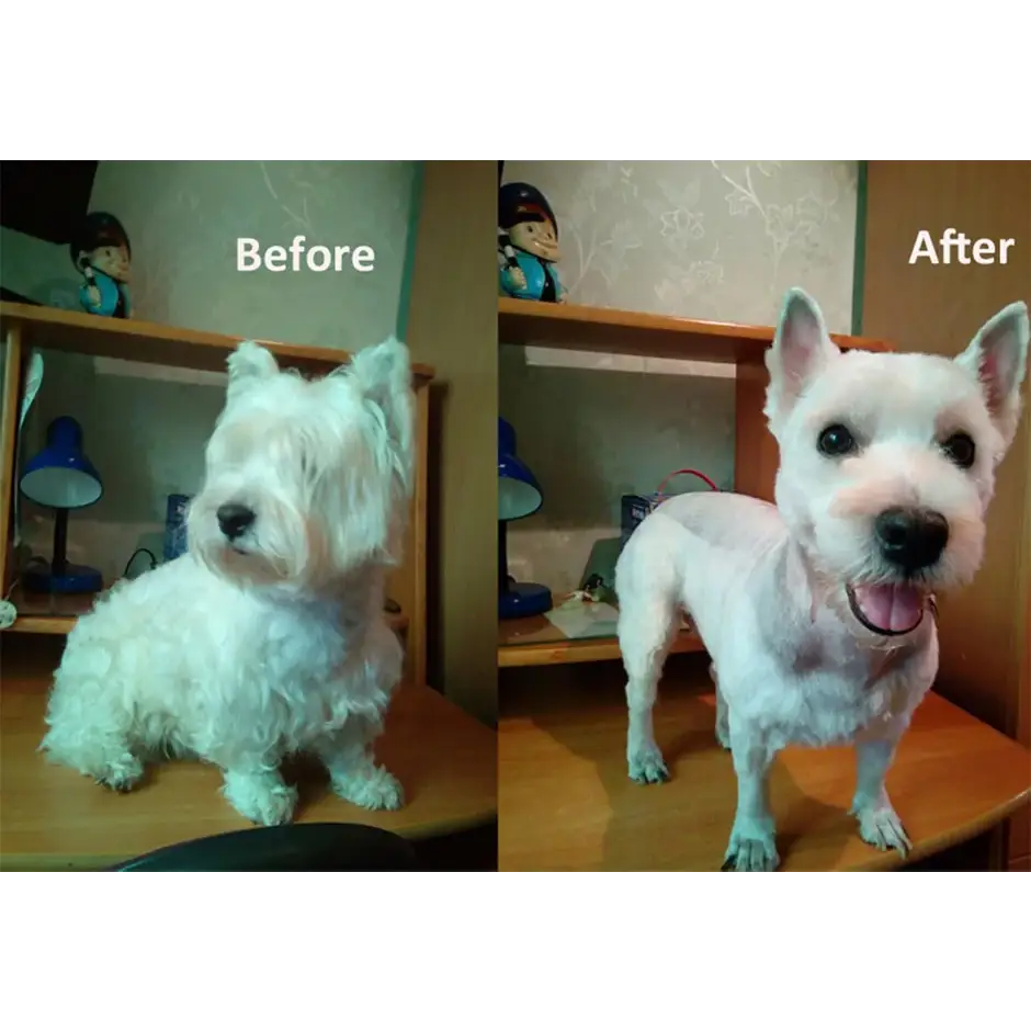 All-Metal Rechargeable Pet Hair Clipper - dog clipper