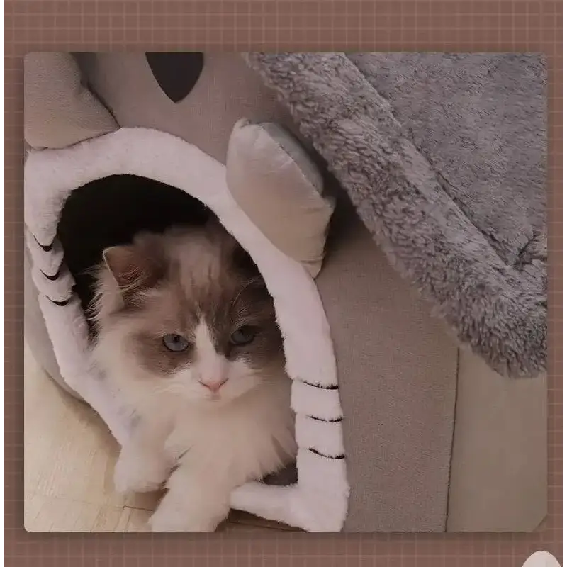 All-Season Indoor Pet Bed with Removable Cushion - cat bed