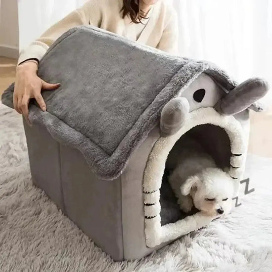 All-Season Indoor Pet Bed with Removable Cushion - cat bed