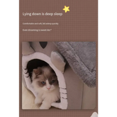 All-Season Indoor Pet Bed with Removable Cushion - cat bed