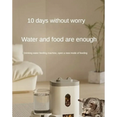 Automatic Pet Feeder & Water Fountain Set - pet feeder
