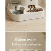 Automatic Pet Feeder & Water Fountain Set - pet feeder