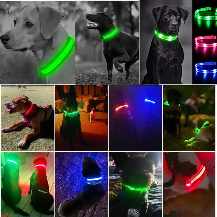 LED light-up dog collars in various colors.
