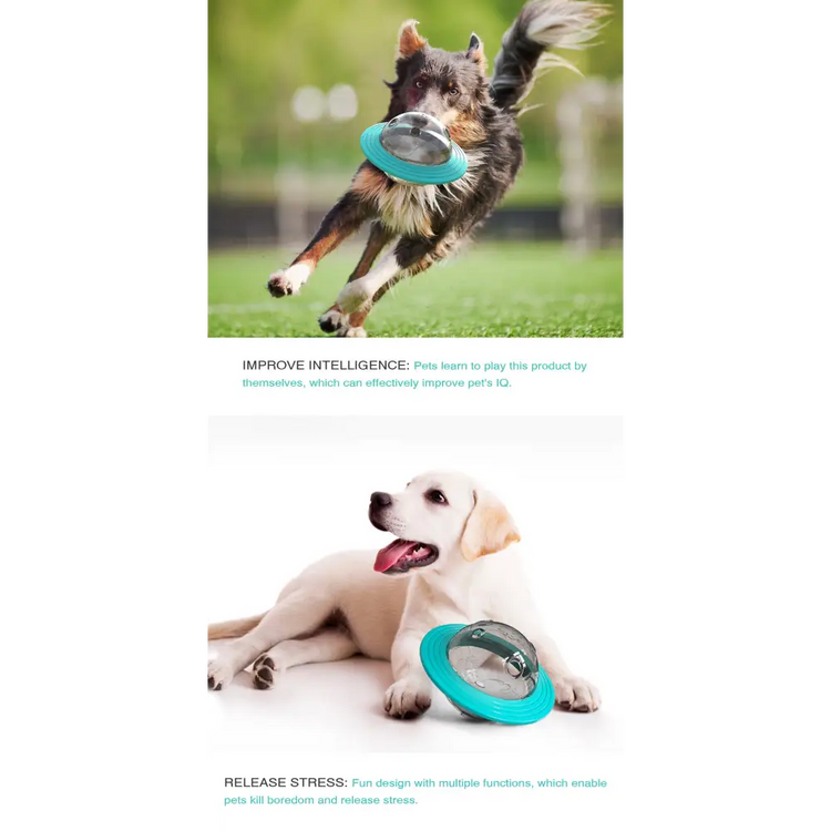 Dog IQ Training Treat Dispenser - dog toys