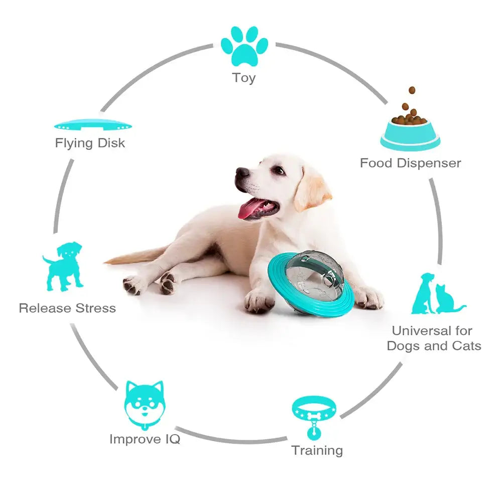 Dog IQ Training Treat Dispenser - dog toys