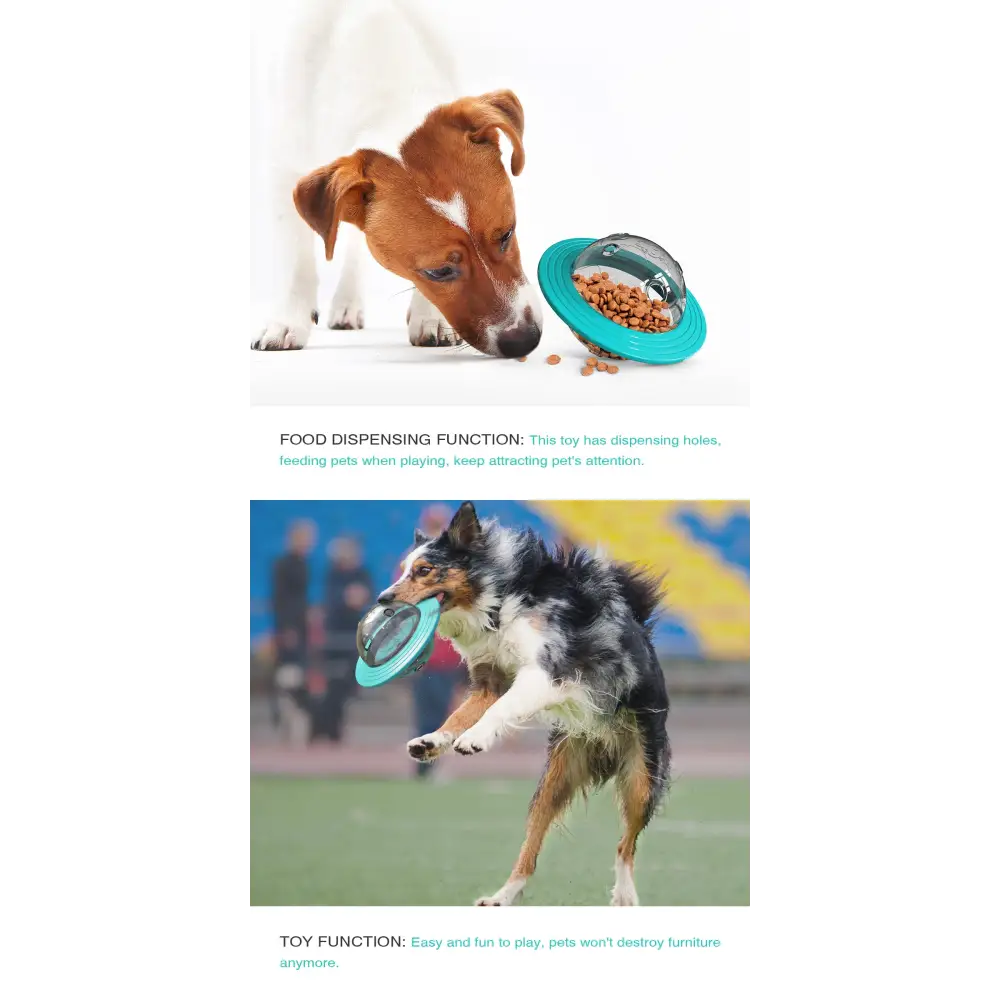 Dog IQ Training Treat Dispenser - dog toys