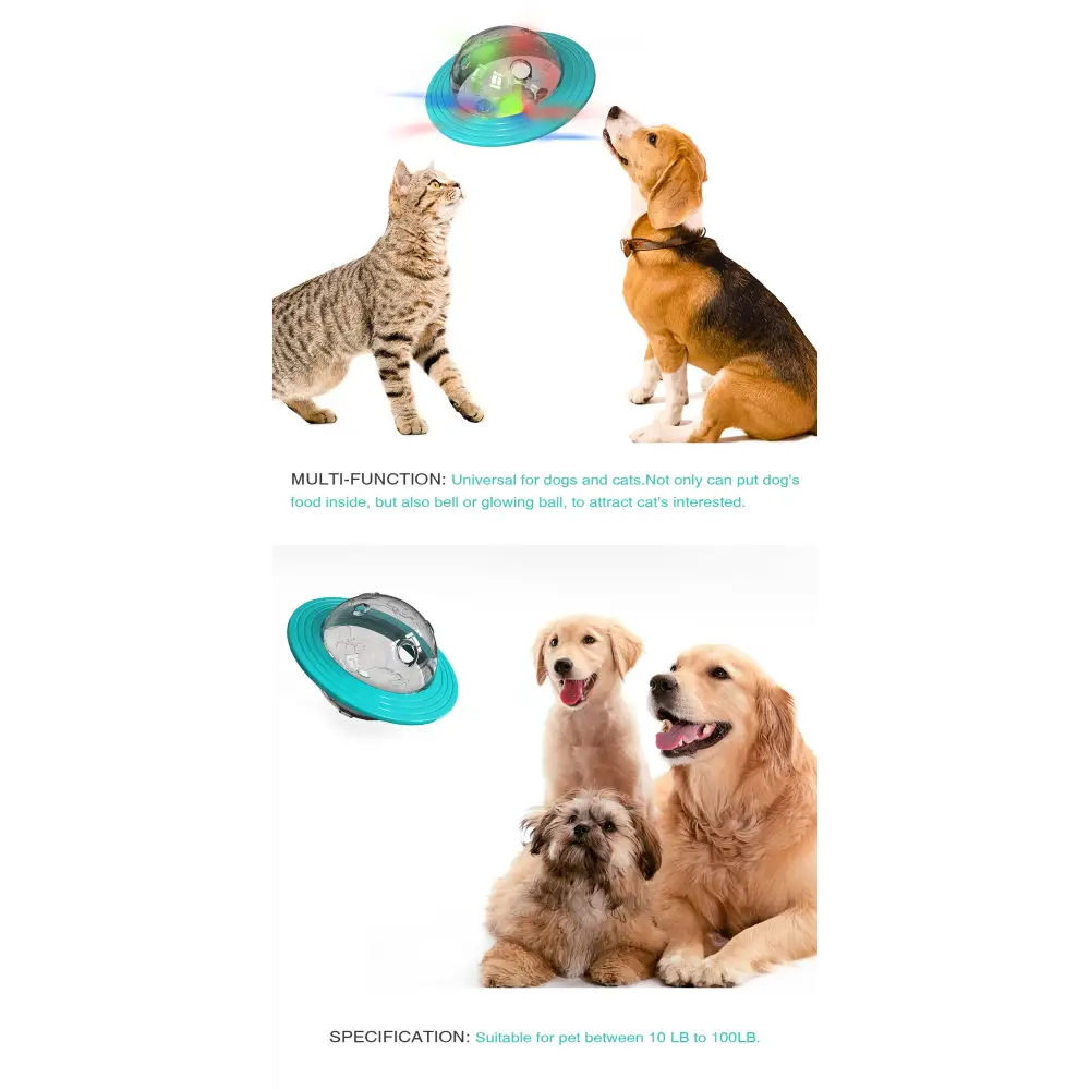 Dog IQ Training Treat Dispenser - dog toys
