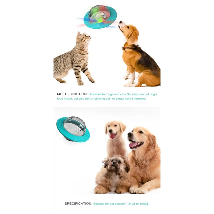 Dog IQ Training Treat Dispenser - dog toys
