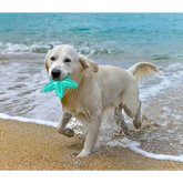 Dog Chew Toys Natural Rubber Starfish-Shaped Dog Toys Interactive Treats Squeaky Dog Toothbrush Cleaner Teething Toys
