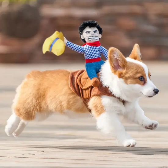 Halloween Cowboy Dog Costume - pet apparel