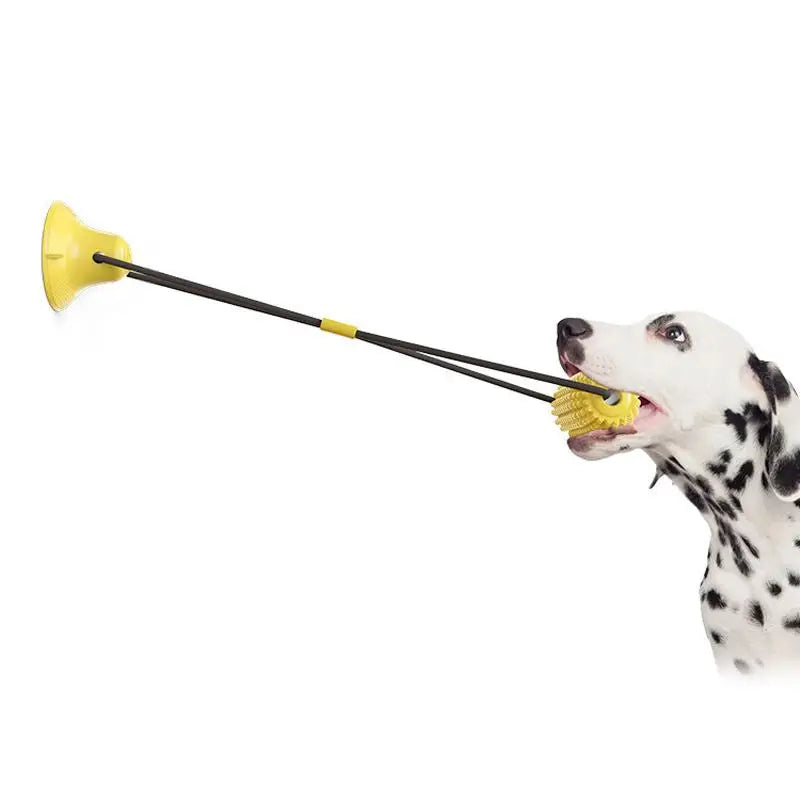 Pet Dog Toy Interactive Rubber Balls for Small Large Dogs Puppy Cat Chewing Toys Pet Tooth Cleaning Indestructible Dog