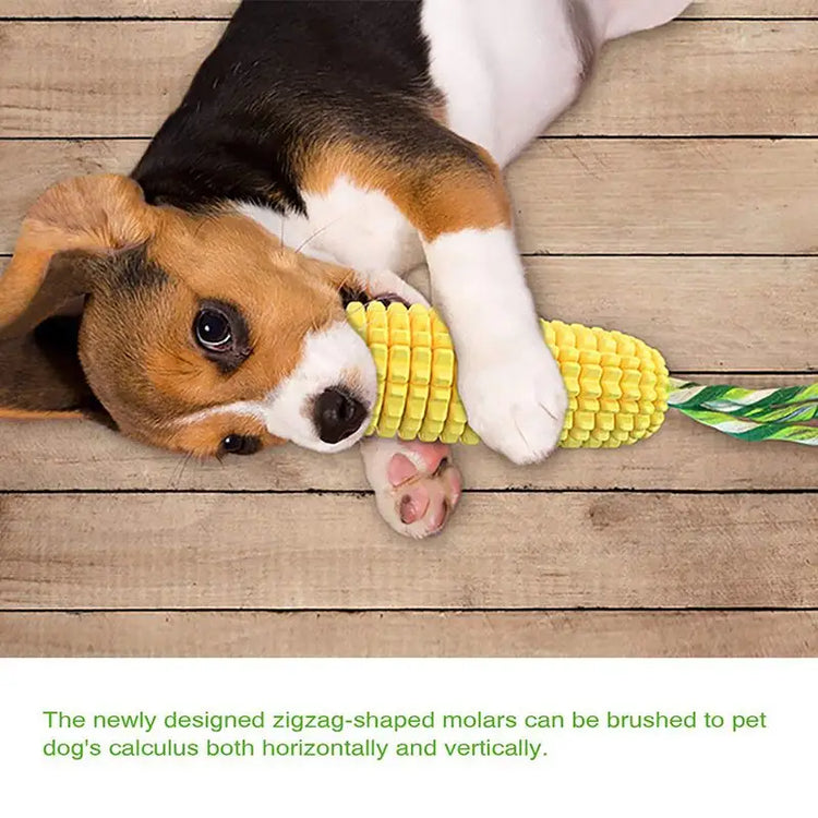 Pet Dog Toy Interactive Rubber Balls for Small Large Dogs Puppy Cat Chewing Toys Pet Tooth Cleaning Indestructible Dog
