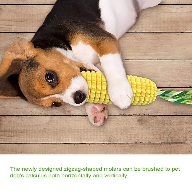 Pet Dog Toy Interactive Rubber Balls for Small Large Dogs Puppy Cat Chewing Toys Pet Tooth Cleaning Indestructible Dog