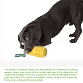 Pet Dog Toy Interactive Rubber Balls for Small Large Dogs Puppy Cat Chewing Toys Pet Tooth Cleaning Indestructible Dog