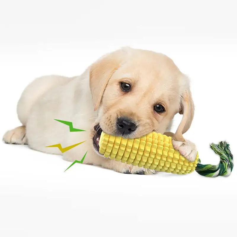 Pet Dog Toy Interactive Rubber Balls for Small Large Dogs Puppy Cat Chewing Toys Pet Tooth Cleaning Indestructible Dog