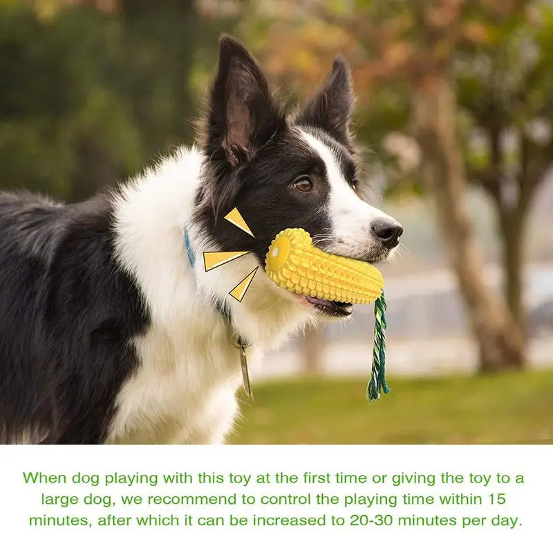 Pet Dog Toy Interactive Rubber Balls for Small Large Dogs Puppy Cat Chewing Toys Pet Tooth Cleaning Indestructible Dog