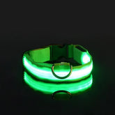 LED Nylon Dog Collar – Glow in the Dark - Green / XL neck 42-56cm - pet collar