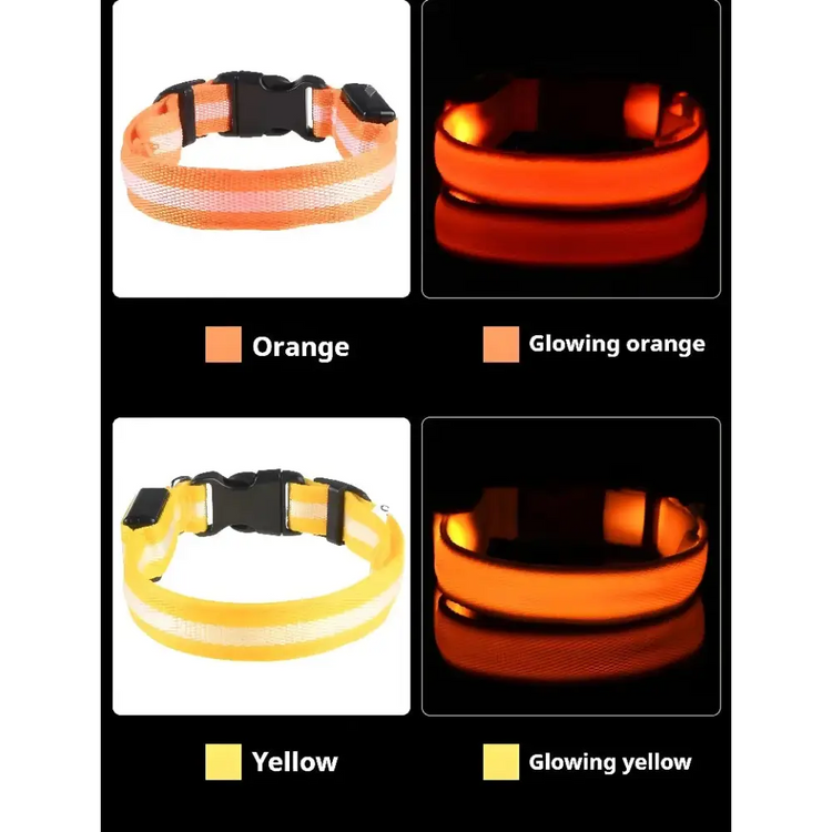 LED Nylon Dog Collar – Glow in the Dark - pet collar