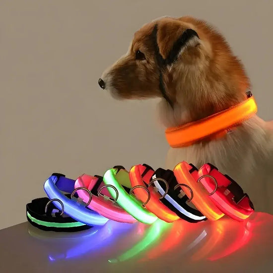 LED Nylon Dog Collar – Glow in the Dark - pet collar
