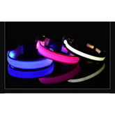 LED Nylon Dog Collar – Glow in the Dark - pet collar