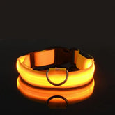 LED Nylon Dog Collar – Glow in the Dark - Yellow / XL neck 42-56cm - pet collar