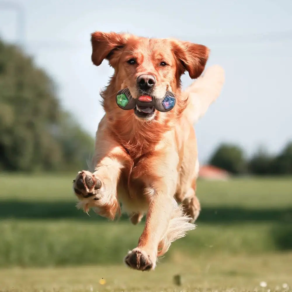 Pet Rubber Bouncing Toy Dog Chew Toy Light up Ball Squeaky Toy Bite Resistant Irregular Shape Toy